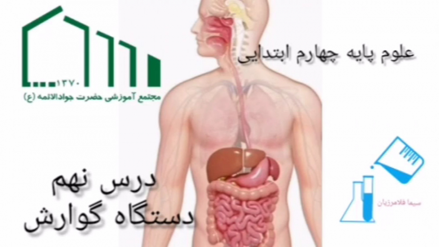 دستگاه گوارش جراحی پف زیر چشم