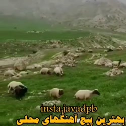 محلی انگشت نما اهنگ