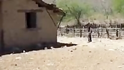 دستگاه حرفه ای 09904455400