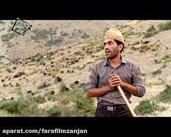 چوپانی