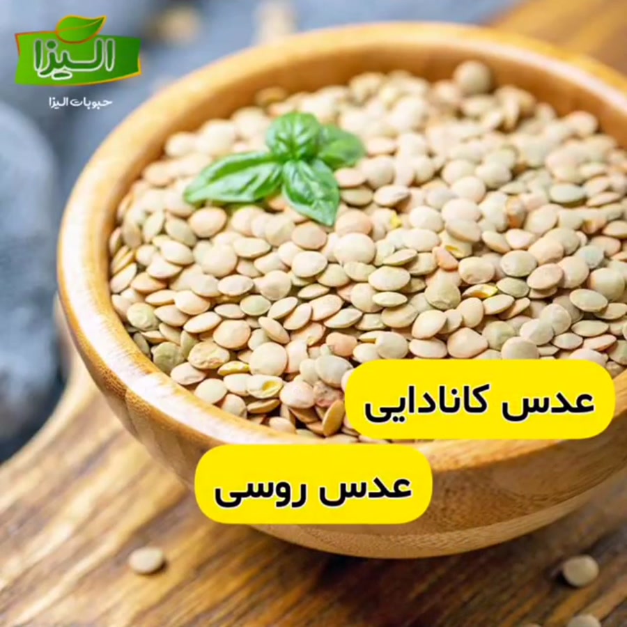 قیمت روز انواع عدس