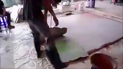 سنگ فرش به سبک خاص