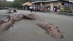 زیبا ترین مجسه های سراسر دنیا