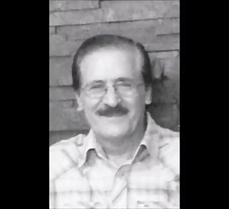آهنگ دل غافل ویگن باصدای محمدرضا عیوق تنظیم ایمان ملکی استودیو آوای همنواز 1393 Mohammad Reza Ayough