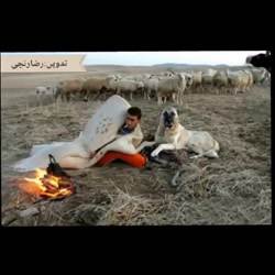 اهنگ لری بختیاری عالیه