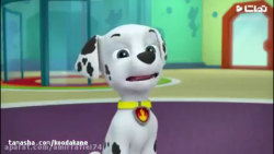 سگهای نگهبان | انیمیشن سگهای ن...