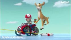 سگهای نگهبان | انیمیشن سگهای ن...