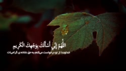 دعای عهد  علی فانی