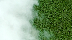 برای حفظ و مراقبت از طبیعت و ج...