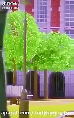 ی میکس عالی ساخت خودم از گربه...