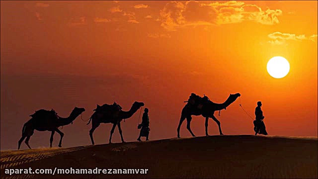 Arabian Trap - Nbvn مصطفی زمانی