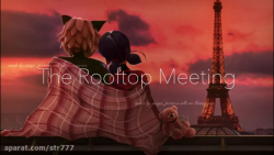 لیدی باگ و کت نوار در کنار هم...