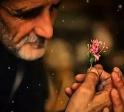 روز پدر  تقدیم به پدران آسمانی