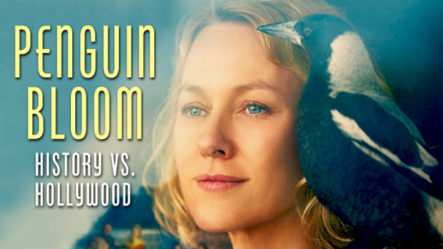 فیلم پنگوئن بلوم Penguin Bloom درام | 2021 زمان5482ثانیه