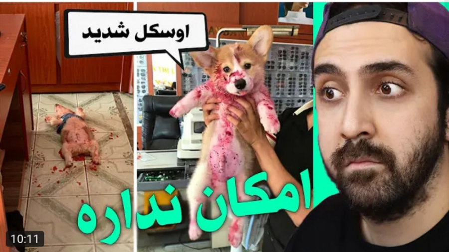 کلیپ طنز جدید | سینا | حیوانات...