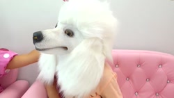 دیانا و روما