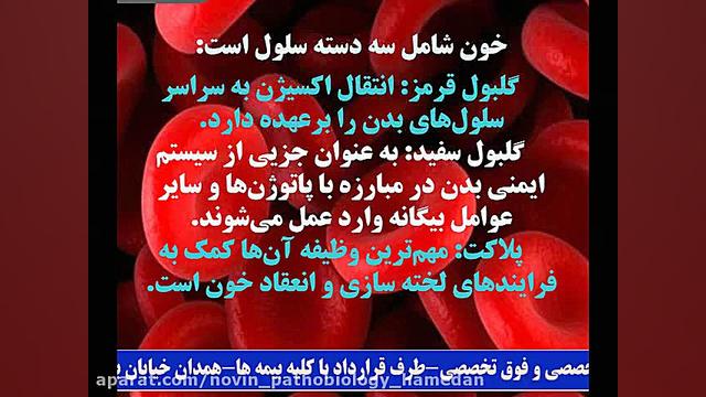 آزمایش RBC یا شمارش گلبول قرمز در خون آزمایشگاه پاتوبیولوژی نوین همدان