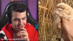 اریا کیوکسر