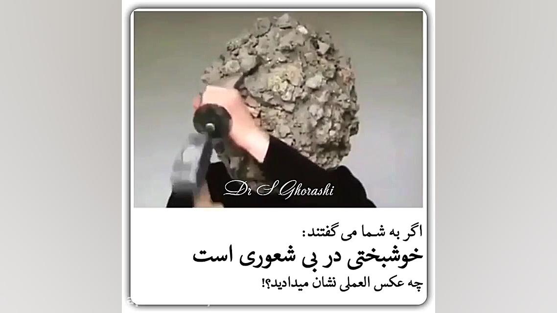 آیا خوشبختی در بی شعوری است ؟ | دکتر سعید قریشی زمان28ثانیه