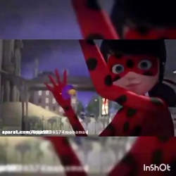 جایی که گربه سیاه به مرینت که...