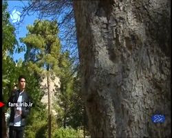 ترانه ملایم و عاشقانه ای از آق...