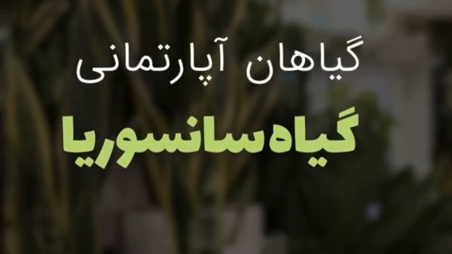معرفی گیاه آپارتمانی سانسوریا ابلق زمان45ثانیه