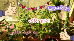 ولاگ عیدانه/بیاین واسه عید برن...