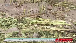یه متل خوش برای شما عزیزان حتما ببینید.
