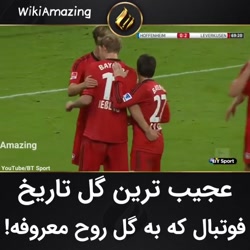 این چه جوری رفت تو دروازه........