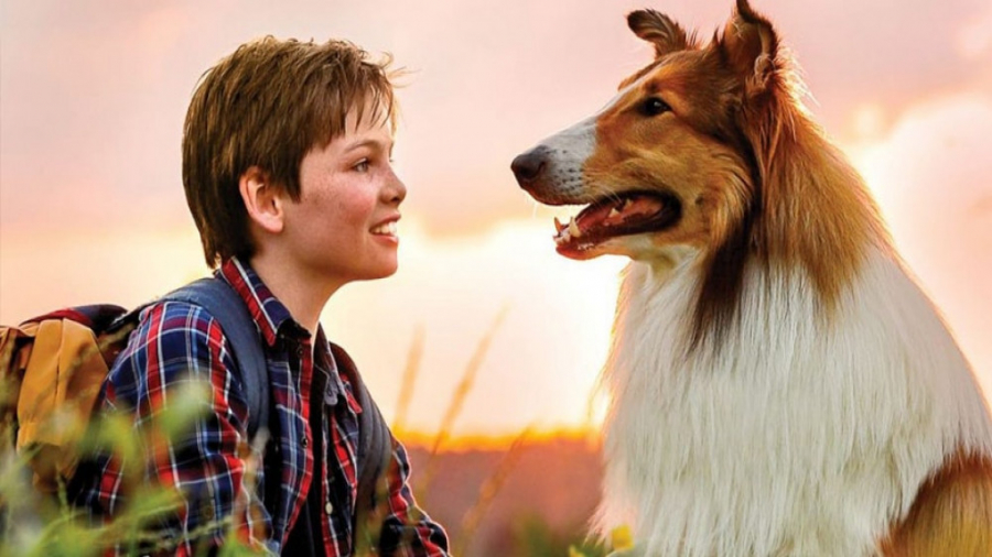 فیلم لسی بیا خونه Lassie Come Home با دوبله فارسی زمان5669ثانیه