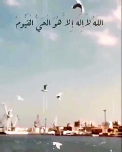 تلاوت زیلای قرآن