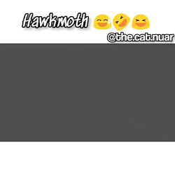 کمیک میراکلس ته خنده کپی ممنوع...