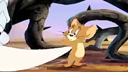 کارتون تام و جری - مجموعه کارت...