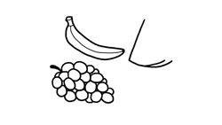 آموزش کشیدن نقاشی/میوه ها