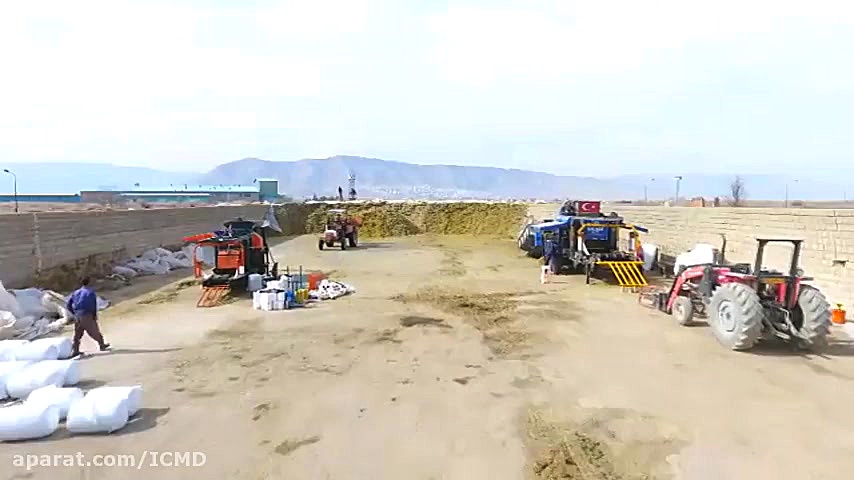 سیلاژ ذرت، شرکت توسعه کشت ذرت علامت بابینسکی