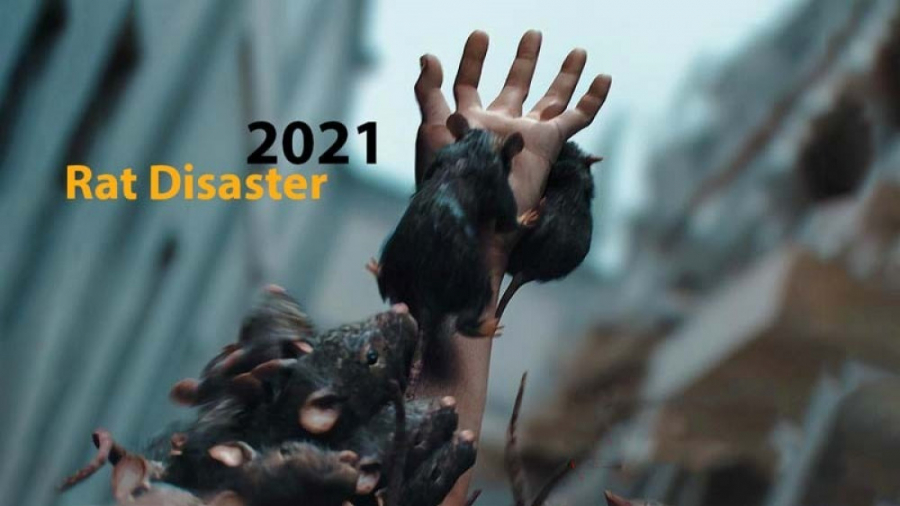فیلم فاجعه موشی Rat Disaster اکشن ، راز آلود | 2021 زمان5497ثانیه