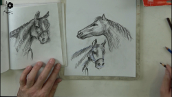آموزش نقاشی - طراحی اسب - استاد تائب