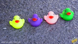 له کردن وسایل کیوت_ خرد کردن چ...