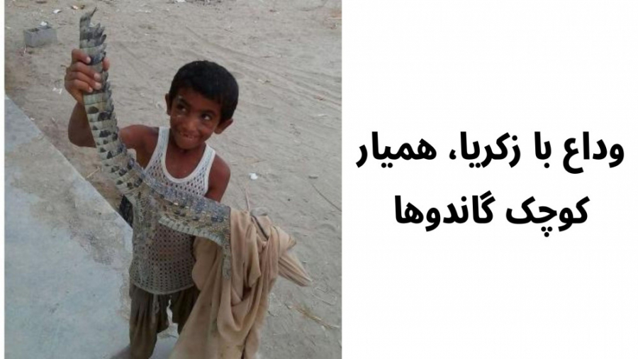وداع با زکریا، همیار کوچک گاندوها