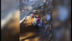 خنده دارترین کلیپ ها