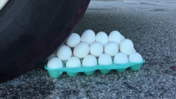 خرد و له کردن چیزهای ترد و نرم...