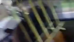 دوبله خنده دار فیل