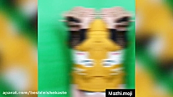 کلیپ خنده دار کارای زشت و مسخر...