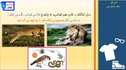علوم دوم ابتدایی، درس 10 : درون آشیانه ها