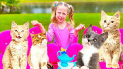 ناستیا با گربه هایی که در یک د...