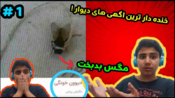 خنده دار ترین آگهی های سایت دی...