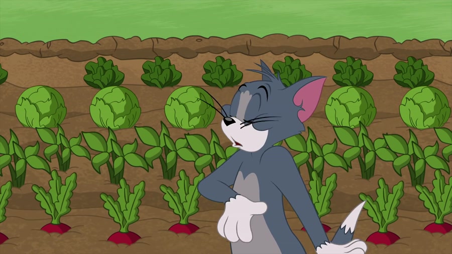 انیمیشن تام و جری این داستان نگهبان مزرعه زمان177ثانیه
