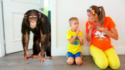 ولاد و نیکی حیوان خانگی جدید م...