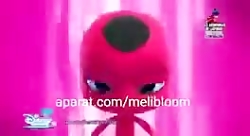 دخترکفش دوزکی دریایی