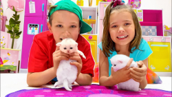 برنامه کودک جدید - مکس و کتی ت...